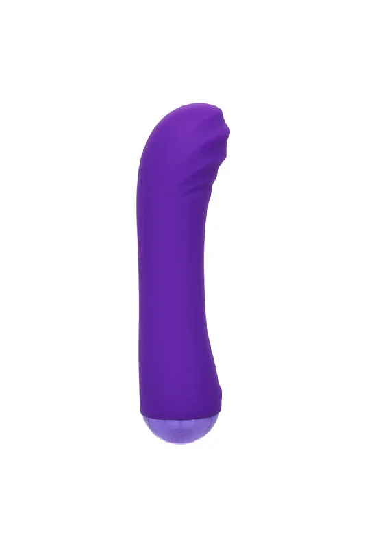 cal-exotics-thicc-chubby-buddy-vibrator-purple