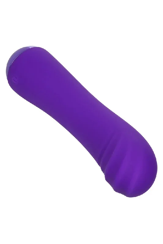 cal-exotics-thicc-chubby-buddy-vibrator-purple