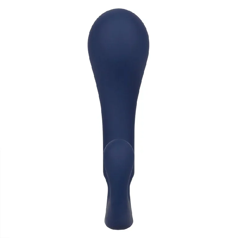 cal-exotics-viceroy-direct-blue-silicone-anal-probe