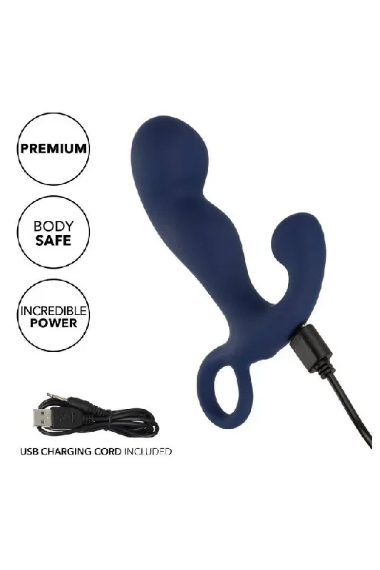 cal-exotics-viceroy-rechargeable-command-probe-blue