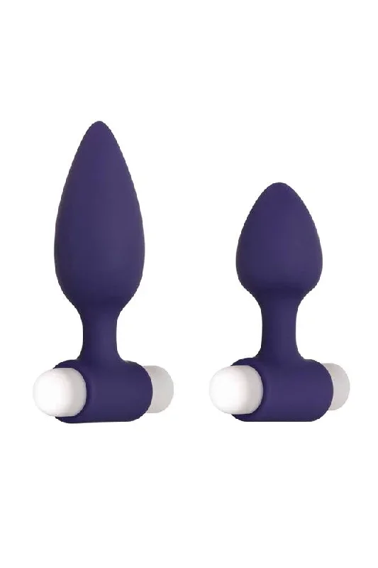 evolved-dynamic-duo-butt-plug-set-purple