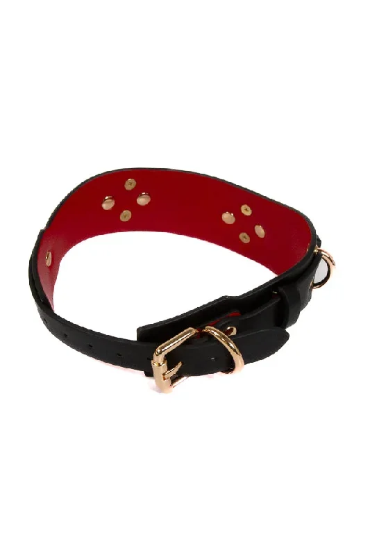 ns-novelties-fetish-fashion-lilith-collar-black-gold